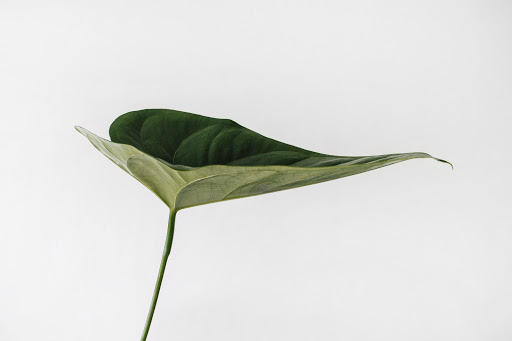 Découvrez En Aparté : un espace dédié aux soins et massages bien-être ainsi qu’un lieu d’accompagnement et de conseils produits afin de mieux vivre son cancer.