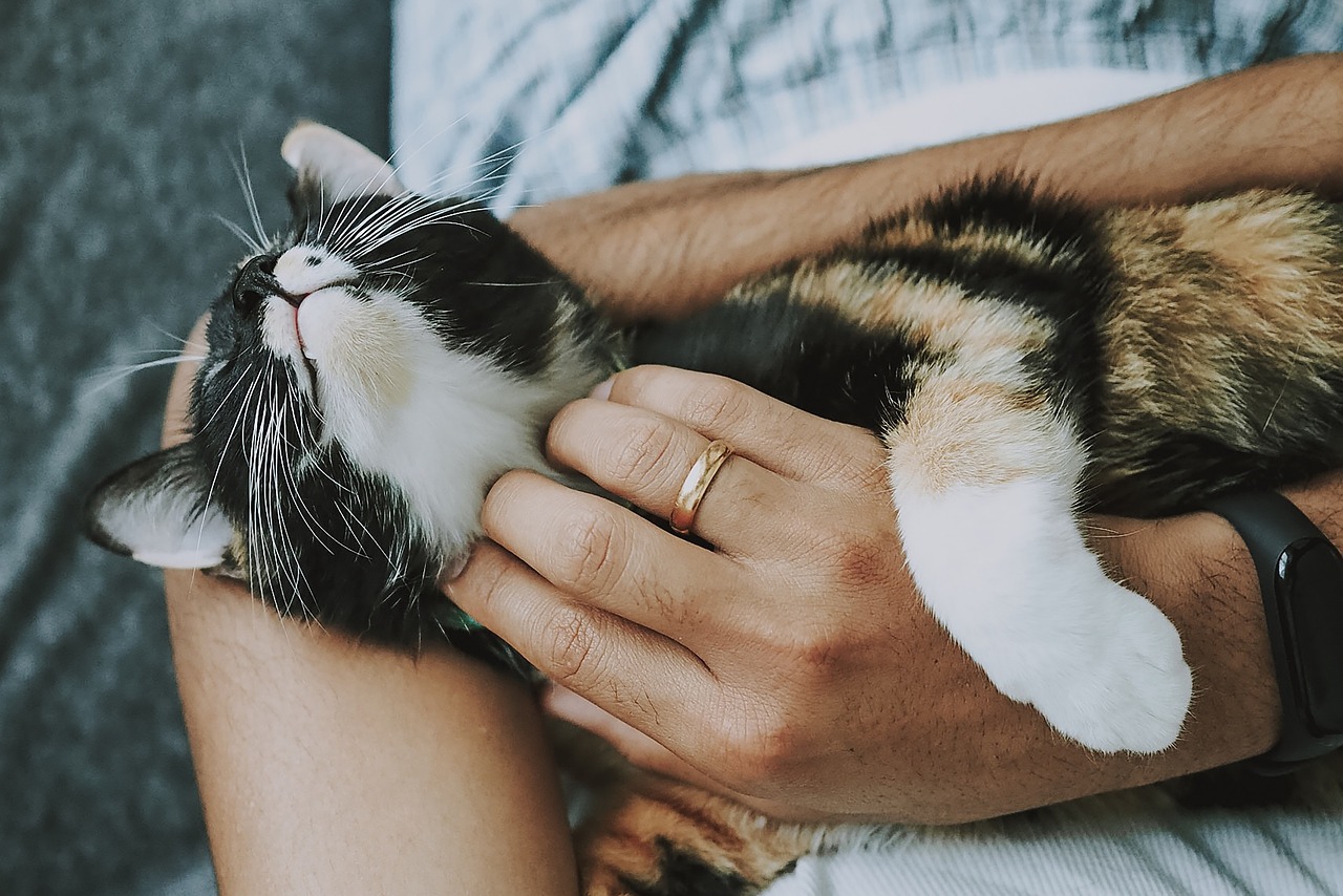 découvrez nos conseils et astuces pour prendre soin de vos mains. apprenez comment nourrir, hydrater et protéger votre peau pour des mains douces et saines.